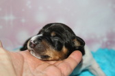Enlarge photo 21