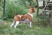 Enlarge photo 11