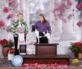 Beesley Joni The Frozen Litter