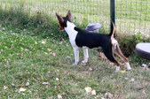 Enlarge photo 11
