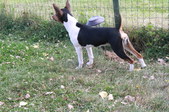 Enlarge photo 10