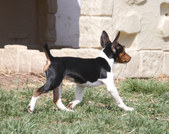 Enlarge photo 24