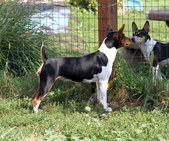 Enlarge photo 7