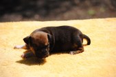 Enlarge photo 7