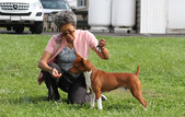 Enlarge photo 23