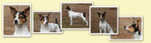 Enlarge photo 18