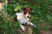 Enlarge photo 24