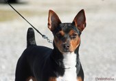 <b>Dagny</b>