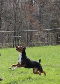 Enlarge photo 17