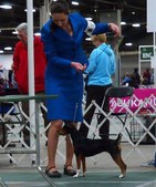 Enlarge photo 4