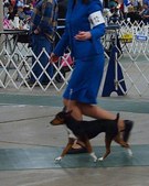 Enlarge photo 3