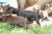Enlarge photo 18