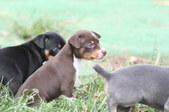Enlarge photo 12