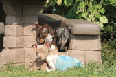 Enlarge photo 2
