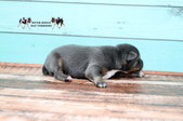 Enlarge photo 21