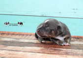 Enlarge photo 22