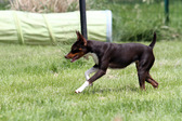 Enlarge photo 16