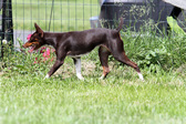 Enlarge photo 15