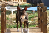 Enlarge photo 5