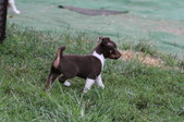 Enlarge photo 19