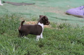 Enlarge photo 18