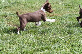 Enlarge photo 3