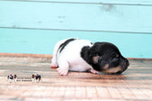 Enlarge photo 11