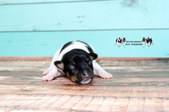 Enlarge photo 12