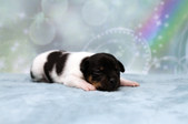 Enlarge photo 6
