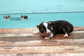 Enlarge photo 24