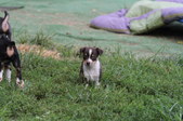 Enlarge photo 7