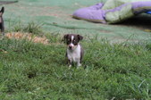 Enlarge photo 5