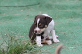 Enlarge photo 16