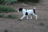 Enlarge photo 12