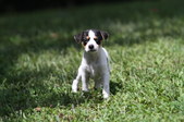 Enlarge photo 4