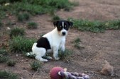 Enlarge photo 14