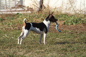 Enlarge photo 16