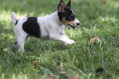 Enlarge photo 2