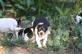 Enlarge photo 17