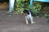 Enlarge photo 14