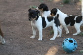 Enlarge photo 13