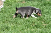 Enlarge photo 10