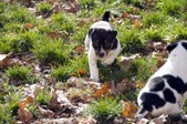Enlarge photo 22