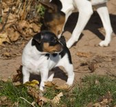 Enlarge photo 18