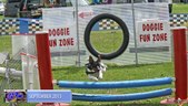 Enlarge photo 16