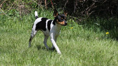 Enlarge photo 5