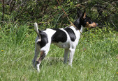 Enlarge photo 10