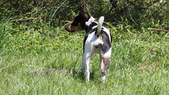 Enlarge photo 9