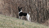 Enlarge photo 18