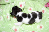 Enlarge photo 16
